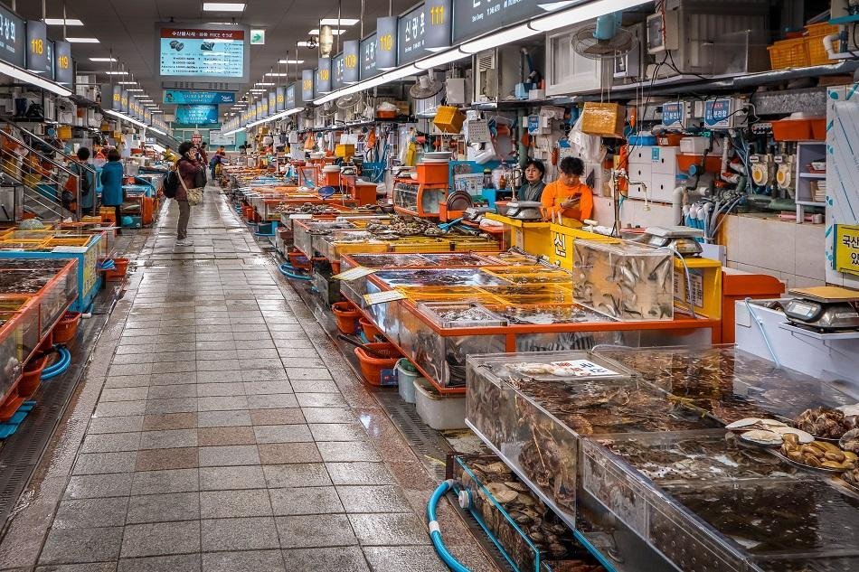 Fresh seafood stalls at Jagalchi Market in Busan